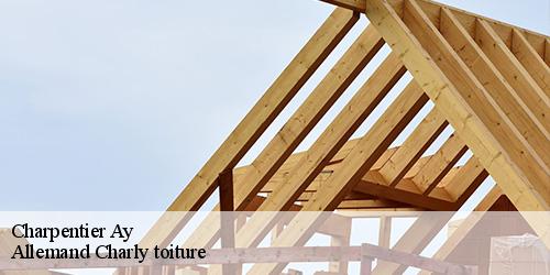 Charpentier ay-51160 Allemand Charly toiture