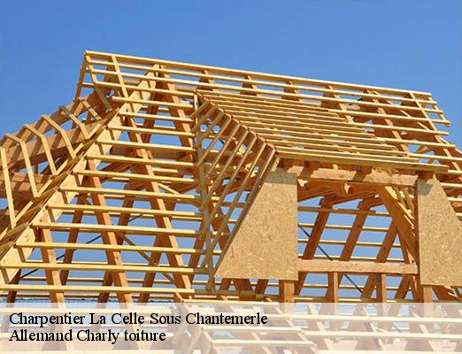 Charpentier  la-celle-sous-chantemerle-51260 Allemand Charly toiture