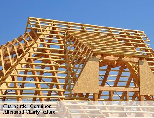 Charpentier  germinon-51130 Allemand Charly toiture