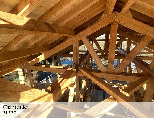 Charpentier  saint-martin-sur-le-pre-51520 Allemand Charly toiture