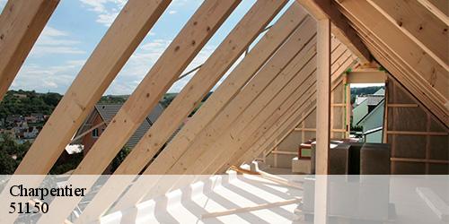 Charpentier  tours-sur-marne-51150 Allemand Charly toiture