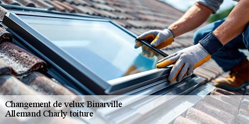Changement de velux  binarville-51800 Allemand Charly toiture