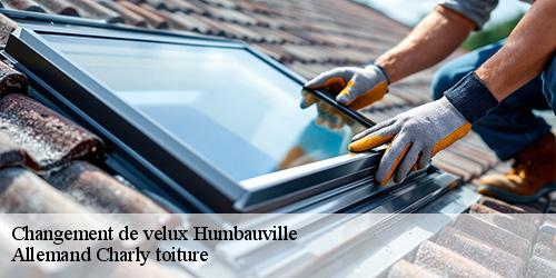 Changement de velux humbauville-51320 Allemand Charly toiture