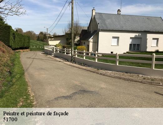 Peintre et peinture de façade  passy-grigny-51700 Allemand Charly toiture