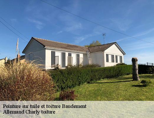 Peinture sur tuile et toiture  baudement-51260 Allemand Charly toiture