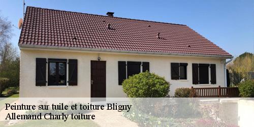 Peinture sur tuile et toiture  bligny-51170 Allemand Charly toiture