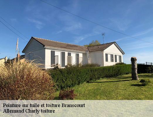 Peinture sur tuile et toiture  branscourt-51140 Allemand Charly toiture