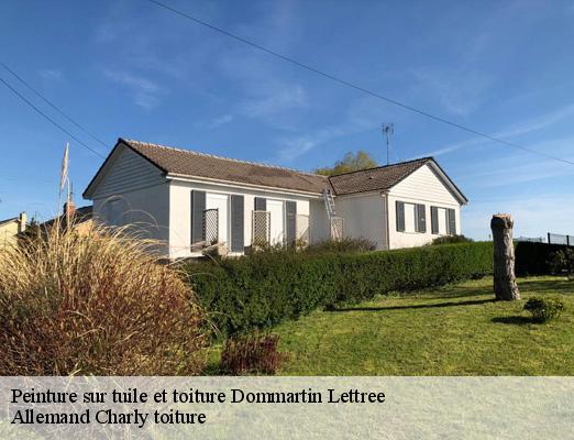 Peinture sur tuile et toiture  dommartin-lettree-51320 Allemand Charly toiture