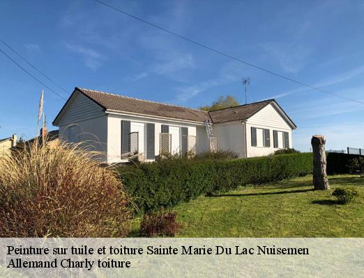 Peinture sur tuile et toiture  sainte-marie-du-lac-nuisemen-51290 Allemand Charly toiture