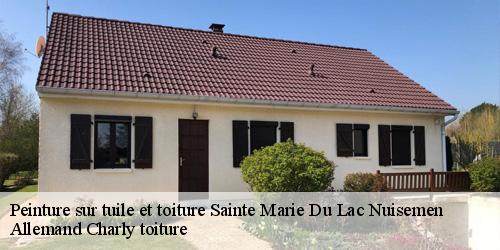 Peinture sur tuile et toiture  sainte-marie-du-lac-nuisemen-51290 Allemand Charly toiture
