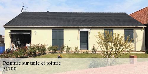 Peinture sur tuile et toiture  igny-comblizy-51700 Allemand Charly toiture