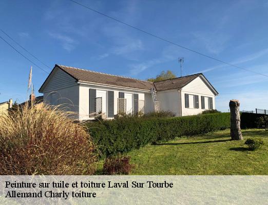 Peinture sur tuile et toiture  laval-sur-tourbe-51600 Allemand Charly toiture