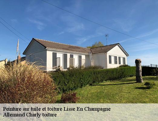 Peinture sur tuile et toiture  lisse-en-champagne-51300 Allemand Charly toiture
