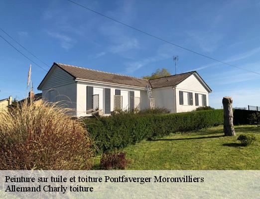 Peinture sur tuile et toiture  pontfaverger-moronvilliers-51490 Allemand Charly toiture