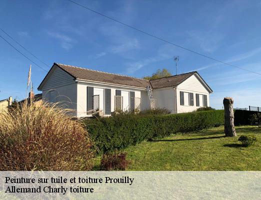 Peinture sur tuile et toiture  prouilly-51140 Allemand Charly toiture