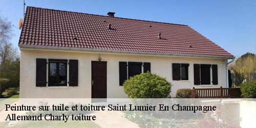 Peinture sur tuile et toiture  saint-lumier-en-champagne-51300 Allemand Charly toiture