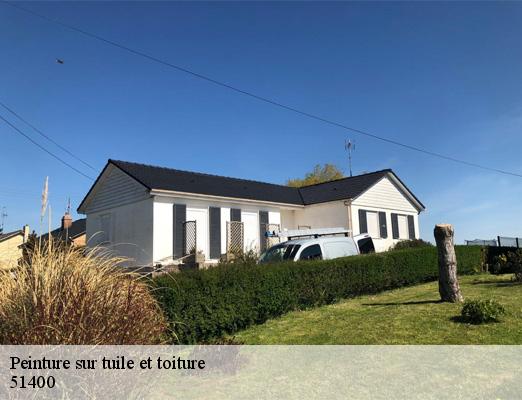 Peinture sur tuile et toiture  sept-saulx-51400 Allemand Charly toiture